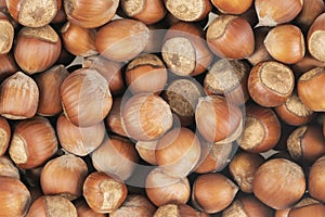 Unpeeled hazelnuts background texture. hazelnuts in shell