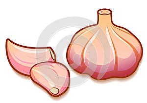 Unpeeled raw garlic bulb and two cloves isolated on white background.