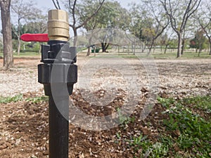 An Unplugged Water Pipe in the Park