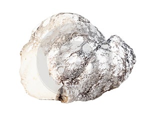 unpolished Cacholong gemstone isolated on white photo