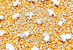 Unpopped and popped corn kernels background