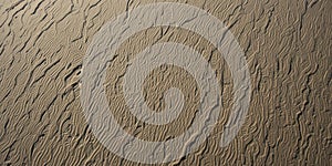 The Unpredictable Patterns of Wind and Tide Small Shifts Create Big Changes in the Dunes