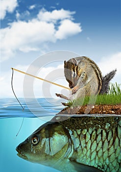Unpredictable result concept, surreal chipmunk fishing on fish
