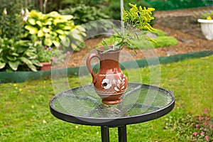 Unpretentious flower Solidago stands in a jug on a dacha table