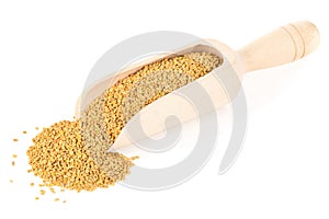 Unprocessed whole fenugreek (Trigonella foenum-graecumcumin) see photo