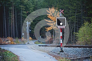 Unprotected Rail Crossing in Forest