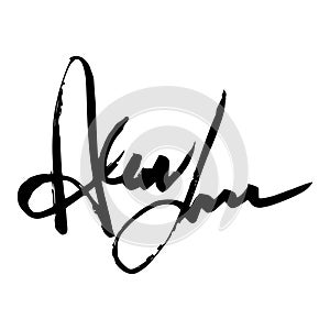 Unreadable handwriting font signature text on white background