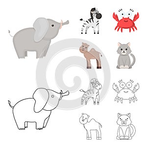 An unrealistic cartoon,outline animal icons in set collection for design. Toy animals vector symbol stock web