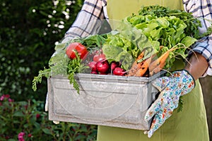 Unrecognisable female farmer holding crate full of freshly harvested vegetables in her garden. Homegrown bio produce concept. photo