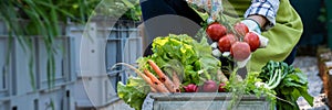 Unrecognisable female farmer holding crate full of freshly picked vegetables in her garden. Homegrown bio produce.