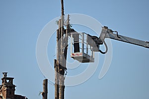 Unrecognisable gardener pruning a tree