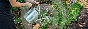 Unrecognisable woman watering flower bed using watering can. Gardening hobby concept. Landscaping.