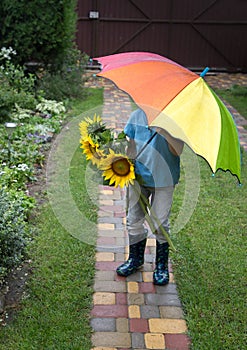 unrecognizable boy with a bouquet of sunflowers is hiding behind a colorful umbrella outdoors
