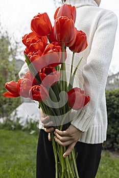 unrecognizable boy holds a large bouquet of red tulips behind his back