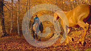 Unrecognizable Caucasian woman leads her horses along a scenic forest trail.