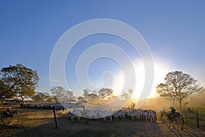 Unrecognizable cowboys at farm with sign Fazenda Paraiso - Paradise Farm portuguese text, Transpantaneira road, Brazil photo