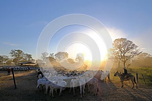 Unrecognizable cowboys at farm with sign Fazenda Paraiso - Paradise Farm portuguese text, Transpantaneira road, Brazil photo