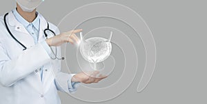 Unrecognizable doctor holding highlighted handrawn Bladder in hands. Medical illustration, template, science mockup