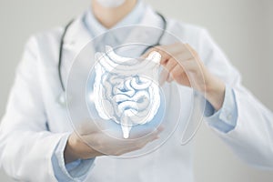 Unrecognizable doctor holding highlighted handrawn Intestine in hands. Medical illustration, template, science mockup