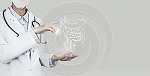 Unrecognizable doctor holding highlighted handrawn Intestine in hands. Medical illustration, template, science mockup