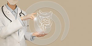 Unrecognizable doctor holding highlighted handrawn Intestine in hands. Medical illustration, template, science mockup photo