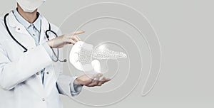 Unrecognizable doctor holding highlighted handrawn Pancreas in hands. Medical illustration, template, science mockup