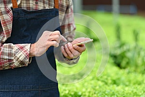 Unrecognizable farmer using phone app for greenhouse plant management. Smart farming concept