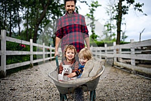 Unrecognizable father pushing small children in wheelbarrow on farm.