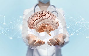 Unrecognizable female doctor holding brain with both hands