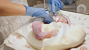 Unrecognizable hand in gloves of nurse or doctor taking care of premature baby placed in a medical incubator. Neonatal