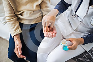 An unrecognizable health visitor explaining a senior woman how to take pills.