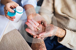 An unrecognizable health visitor explaining a senior woman in wheelchair how to take pills.