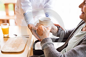 Unrecognizable health visitor and a senior woman during home visit.