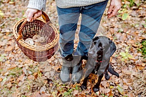 Unrecognizable man with dog holding basket with mushooms, forest