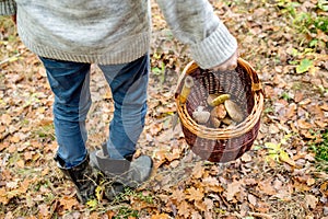 Unrecognizable man holding basket with mushooms, autumn forest