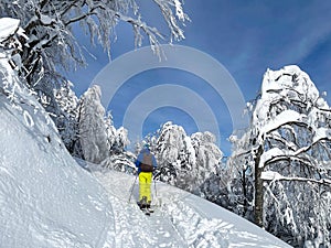 Unrecognizable man on ski touring adventure treks up a narrow snowy trail.