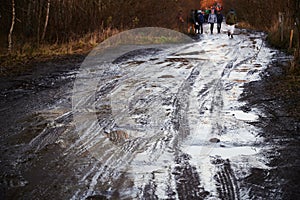 Unrecognizable pedestrians walk cautiously along the broken dirt road. The coating is slippery, wet, liquid