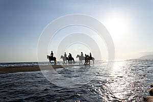 Unrecognizable people riding horses on the beach at dawn