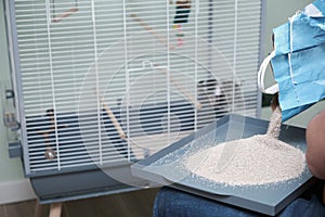 Unrecognizable person adding absorbent material to the birdcage.