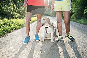 Unrecognizable senior runners with dog outside in sunny nature