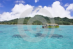 Unrecognizable tourist snorkelling in Rarotonga lagoon Cook Islands