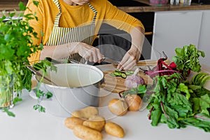 Unrecognizable woman in apron chopping fresh vegetables for soup and mixed salad. Diet and organic farming food receipt