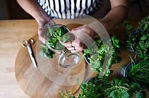 Unrecognizable woman indoors at home, cutting green herbs.