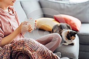 Unrecognizable woman in plaid drinking hot tea and watching movie, TV with multicolored cat on the sofa at home. Cozy