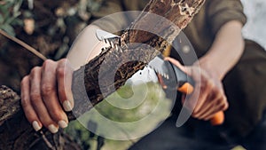 Unrecognizable woman sawing wood hand saw. Close-up. Survival Bushcraft Concept