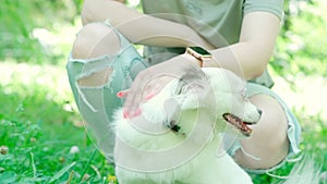 Unrecognizable woman squatting, stroking fluffy white dog on street. Faceless owner with tired pet relaxing in green