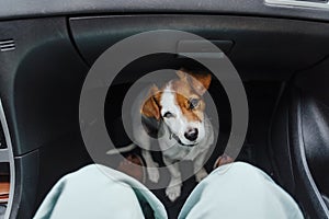 Unrecognizable woman traveling by car with her cute small dog sitting on the floor and waiting for destination. Pets and travel