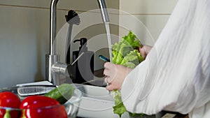Unrecognizable woman washing lettuce in kitchen sink indoors