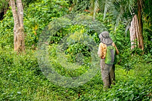 An unrecognizable woman wearing hiking clothes standing in a beautiful forest in rural Uganda.