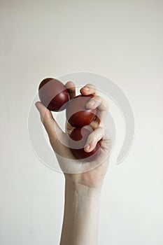 Unrecognizable women hand holding up three eggs. Knocking a red Easter egg. Old holiday tradition.  on white background.